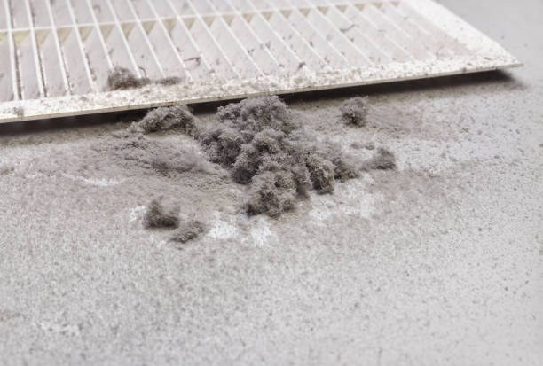 Best Air Duct Cleaning Company Near Me  in Butler, PA
